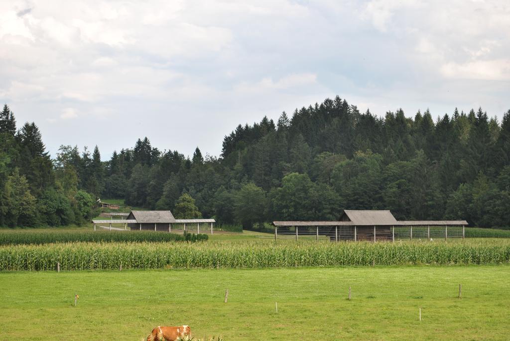 Farm Holidays Povsin Bled Bagian luar foto